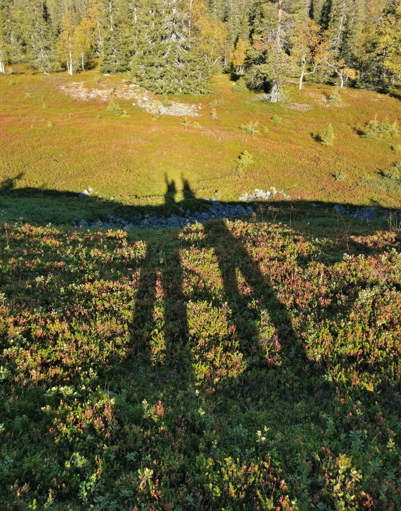Pallilaen valtijattaret